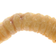 Image for article titled Weird Scratching Noise in Woman's Head Turns Out to Be Brain-Maggots